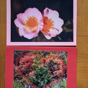 5db kinyitható képeslap sakát fotóbal - Valentin nap 2 - otthon & életmód - papír, írószer - ajándékozás kellékei - képeslap, üdvözlőlap - Meska.hu