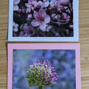 5db kinyitható képeslap saját fotóval - Természet 9. - otthon & életmód - papír, írószer - ajándékozás kellékei - képeslap, üdvözlőlap - Meska.hu