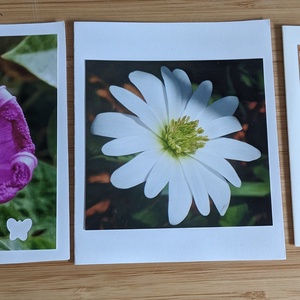 5db kinyitható képeslap saját fotóval - Természet 13. - otthon & életmód - papír, írószer - ajándékozás kellékei - képeslap, üdvözlőlap - Meska.hu