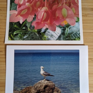 5db kinyitható képeslap saját fotóval - Természet 13. - otthon & életmód - papír, írószer - ajándékozás kellékei - képeslap, üdvözlőlap - Meska.hu