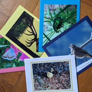 5db kinyitható képeslap saját fotóimmal - Állatok 1., Otthon & Életmód, Papír, írószer, Ajándékozás kellékei, Képeslap, üdvözlőlap, Fotó, grafika, rajz, illusztráció, MESKA