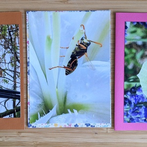 5db kinyitható képeslap saját fotómmal - Állatok 2., Otthon & Életmód, Papír, írószer, Ajándékozás kellékei, Képeslap, üdvözlőlap, Fotó, grafika, rajz, illusztráció, MESKA