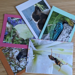 5db kinyitható képeslap saját fotómmal - Állatok 2. - otthon & életmód - papír, írószer - ajándékozás kellékei - képeslap, üdvözlőlap - Meska.hu