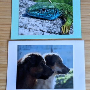 5db kinyitható képeslap saját fotómmal - Állatok 2. - otthon & életmód - papír, írószer - ajándékozás kellékei - képeslap, üdvözlőlap - Meska.hu