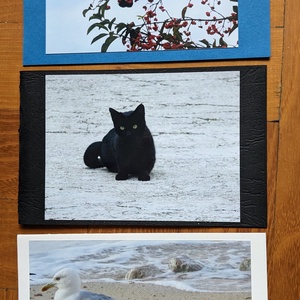 5db kinyitható képeslap saját fotóval - Állatok 3. - Meska.hu