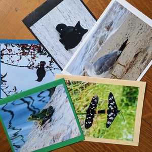5db kinyitható képeslap saját fotóval - Állatok 3. - otthon & életmód - papír, írószer - ajándékozás kellékei - képeslap, üdvözlőlap - Meska.hu