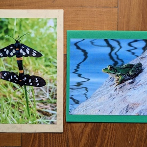 5db kinyitható képeslap saját fotóval - Állatok 3. - otthon & életmód - papír, írószer - ajándékozás kellékei - képeslap, üdvözlőlap - Meska.hu