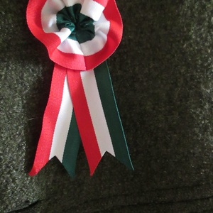 Hagyományos kokárda - ékszer - kitűző és bross - kitűző - Meska.hu