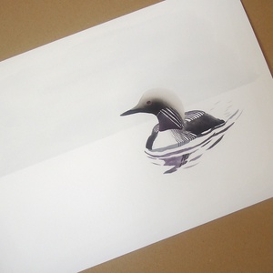 Öreg nászruhás kurili búvár A4 giclée művészeti nyomat - Meska.hu