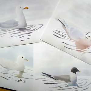 Az Arktisz nászruhás sirályai sorozat A4 giclée művészeti nyomat - Meska.hu