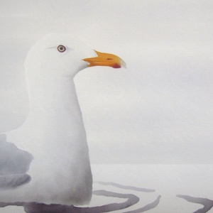 Öreg nászruhás jeges sirály A4 giclée művészeti nyomat - otthon & életmód - dekoráció - kép & falikép - kép & falikép - Meska.hu