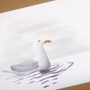 Öreg nászruhás jeges sirály A4 giclée művészeti nyomat - otthon & életmód - dekoráció - kép & falikép - kép & falikép - Meska.hu