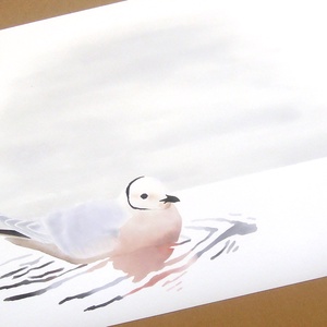 Öreg nászruhás rózsás sirály A4 giclée művészeti nyomat - Meska.hu