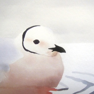 Öreg nászruhás rózsás sirály A4 giclée művészeti nyomat - otthon & életmód - dekoráció - kép & falikép - kép & falikép - Meska.hu