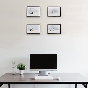 Nászruhás hím pehelyréce sorozat A4 giclée művészeti nyomat - otthon & életmód - dekoráció - kép & falikép - kép & falikép - Meska.hu