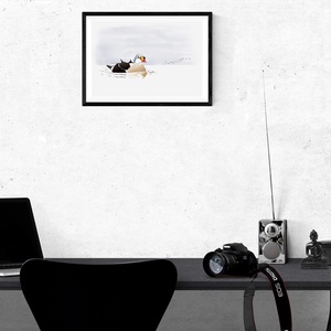 Nászruhás hím cifra pehelyréce A4 giclée művészeti nyomat - otthon & életmód - dekoráció - kép & falikép - kép & falikép - Meska.hu