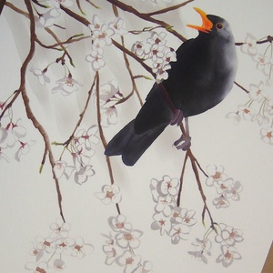 Virágzó faágon éneklő hím fekete rigó - A4 giclée művészeti nyomat - Meska.hu