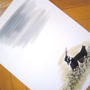 Kamillában költő bíbic - A4 giclée művészeti nyomat - Meska.hu
