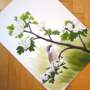 Virágzó galagonyán éneklő kis poszáta - A4 giclée művészeti nyomat - Meska.hu