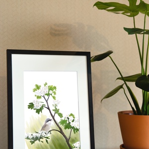 Virágzó galagonyán éneklő kis poszáta - A4 giclée művészeti nyomat - otthon & életmód - dekoráció - kép & falikép - kép & falikép - Meska.hu