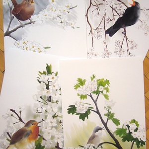 Énekesmadarak sorozat A4 giclée művészeti nyomat - Meska.hu