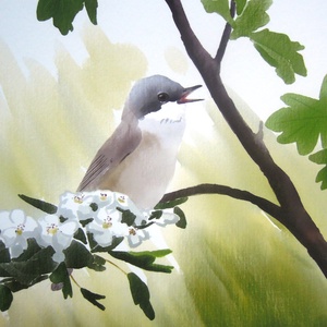 Énekesmadarak sorozat A4 giclée művészeti nyomat - otthon & életmód - dekoráció - kép & falikép - kép & falikép - Meska.hu