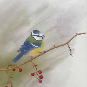 Kék cinege - Limitált példányszámú A4 giclée művészeti nyomat - Meska.hu