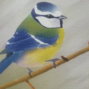 Kék cinege - Limitált példányszámú A4 giclée művészeti nyomat - művészet - grafika & illusztráció - művészi nyomat - Meska.hu