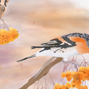 Madárberkenyén táplálkozó fenyőpintyek - Limitált példányszámú A4 giclée művészeti nyomat - művészet - grafika & illusztráció - művészi nyomat - Meska.hu