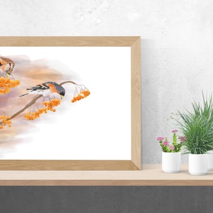 Madárberkenyén táplálkozó fenyőpintyek - Limitált példányszámú A4 giclée művészeti nyomat - művészet - grafika & illusztráció - művészi nyomat - Meska.hu