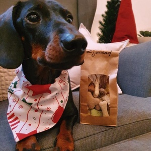 Juti-box kutyusnak és gazdinak - Meska.hu