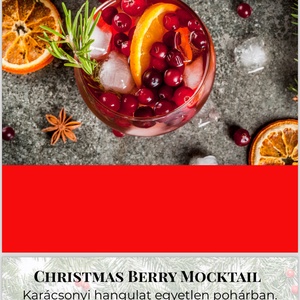 Mocktail e-book -Alkoholmentes italok minden alkalomra  - könyv & zene - könyv - Meska.hu