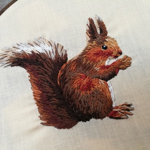 Vörös mókus (Sciurus vulgaris) - otthon & életmód - dekoráció - kép & falikép - Meska.hu