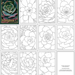 Letölthető színező - Pozsgások 1 - művészet - grafika & illusztráció - digitális - Meska.hu