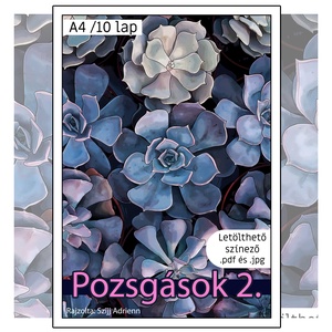 Letölthető színező - Pozsgások 2, Művészet, Grafika & Illusztráció, Digitális, Fotó, grafika, rajz, illusztráció, MESKA