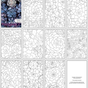 Letölthető színező - Pozsgások 2 - művészet - grafika & illusztráció - digitális - Meska.hu