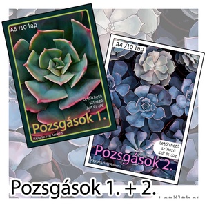 Letölthető színező - Pozsgások 1+2, Művészet, Grafika & Illusztráció, Digitális, Fotó, grafika, rajz, illusztráció, MESKA