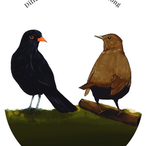 Rigók falikép , Művészet, Grafika & Illusztráció, Digitális, Fotó, grafika, rajz, illusztráció, MESKA