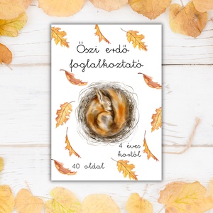 Őszi erdő foglalkoztató (4+) - Játékos fejlesztés 40 oldalon - Meska.hu