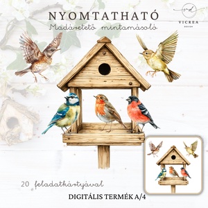 � Nyomtatható Madarak és fák napja játékgyűjtemény (4�7 éveseknek) - játék & sport - készségfejlesztő és logikai játék - oktató játékok - Meska.hu