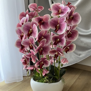 Prémium, élethű óriás orchidea kaspóban nagy, XXL - otthon & életmód - dekoráció - virágdísz és tartó - csokor & virágdísz - Meska.hu
