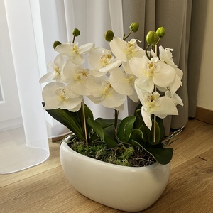 Prémium, élethű nagy orchidea ovális kaspóban, kék orchidea - otthon & életmód - dekoráció - virágdísz és tartó - csokor & virágdísz - Meska.hu