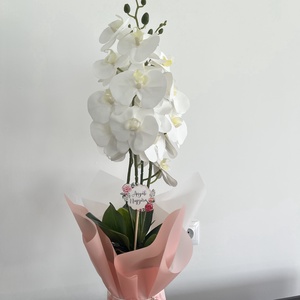 3 szálas fehér orchidea gondozásmentes - otthon & életmód - dekoráció - virágdísz és tartó - csokor & virágdísz - Meska.hu