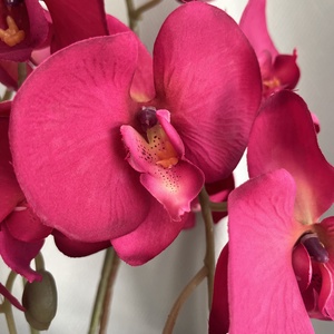 Örögvirg élethű selyem orchidea kaspóban - otthon & életmód - dekoráció - virágdísz és tartó - csokor & virágdísz - Meska.hu
