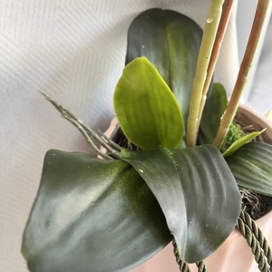 Örögvirg élethű selyem orchidea kaspóban - otthon & életmód - dekoráció - virágdísz és tartó - csokor & virágdísz - Meska.hu