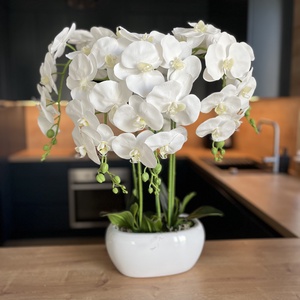 Prémium, élethű óriás orchidea kaspóban nagy, XXL, Otthon & Életmód, Dekoráció, Virágdísz és tartó, Csokor & Virágdísz, Virágkötés, MESKA