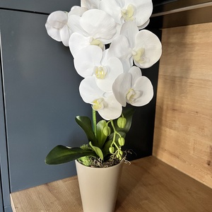 Prémium, élethű orchidea kaspóban, 1 szálas, Otthon & Életmód, Dekoráció, Virágdísz és tartó, Csokor & Virágdísz, Virágkötés, MESKA