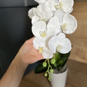 Prémium, élethű orchidea kaspóban, 1 szálas - otthon & életmód - dekoráció - virágdísz és tartó - csokor & virágdísz - Meska.hu