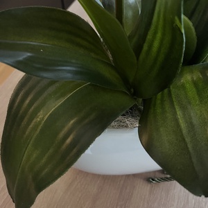 Prémium, élethű óriás orchidea kaspóban nagy, XXL - otthon & életmód - dekoráció - virágdísz és tartó - csokor & virágdísz - Meska.hu