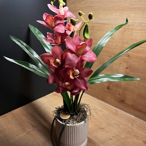 Cymbidium - csónak orchidea / Örök orchidea kerámia kaspóban többféle - otthon & életmód - virágdekoráció - virágdíszek - virágdísz kaspóban - Meska.hu